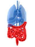Entamoeba histolytica инфекции (Амеба инфекции) фото