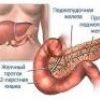 Нарушение работы кишечного фермента предрасполагает к сахарному диабету