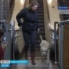 Поправки в ФЗ РФ «О социальной защите инвалидов в Российской Федерации»
