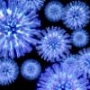 Люди с группой крови A(II) предрасположены к вирусным инфекциям