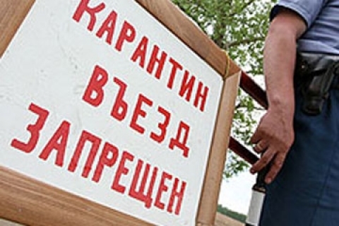 Очаг сибирской язвы обнаружен на Алтае