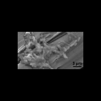 Специальные шторы защитят от опасных инфекций