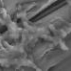 Специальные шторы защитят от опасных инфекций