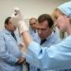 Президент ознакомился с производством инновационных лекарств