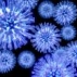 Люди с группой крови A(II) предрасположены к вирусным инфекциям