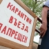 Очаг сибирской язвы обнаружен на Алтае